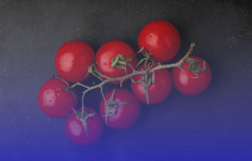 thumbnail - eight tomatoes on vine
