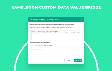 Custom Data Value Bridge