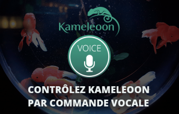 kameleoon-voice