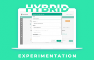 Hybrid experimentation